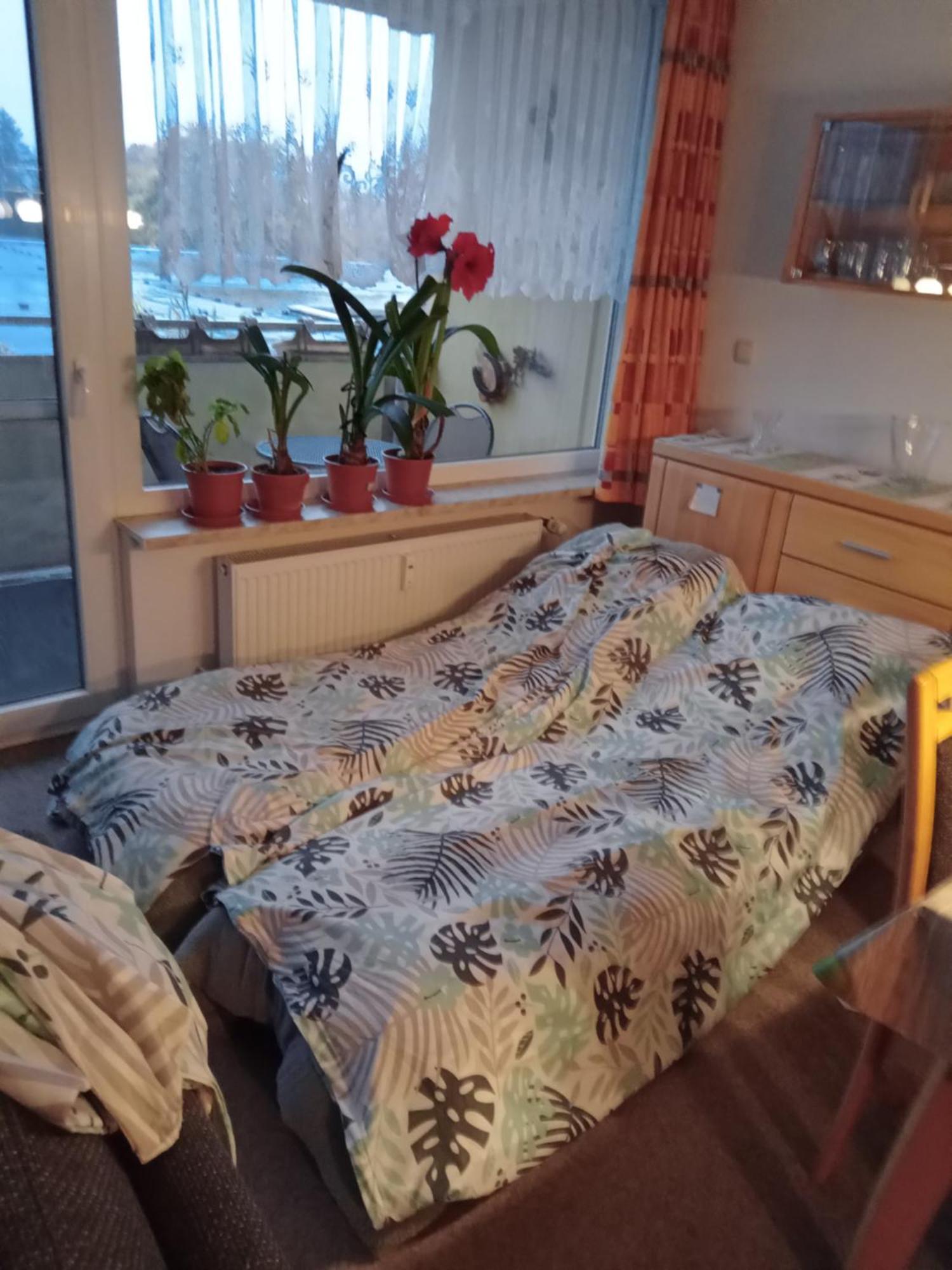 Wohnung 416, Am Kurpark 3, 38700 Braunlage Eksteriør billede